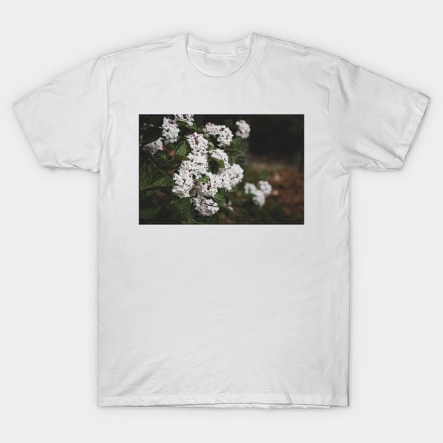 White Viburnum Flowers in Springtime T-Shirt by Amy-K-Mitchell